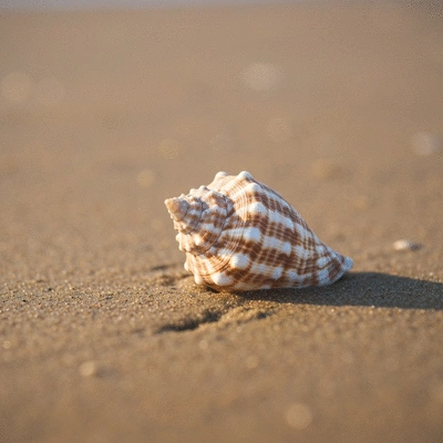 Close-up of essential jet ski safety equipment on a dock